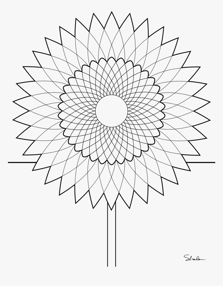 Vector Line Sunflower - Fibonacci Flower Coloring Page, HD Png Download, Free Download