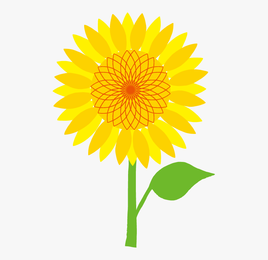 Common Sunflower Scalable Vector Graphics Clip Art - Index Wheel Graves 5xl, HD Png Download, Free Download