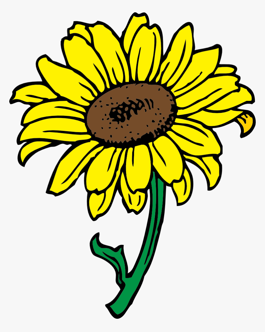 Sunflower - Clip Art Of Sunflower, HD Png Download, Free Download