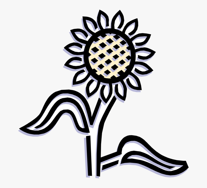 Vector Illustration Of Sunflower Flower Garden Plant - Vector Graphics, HD Png Download, Free Download