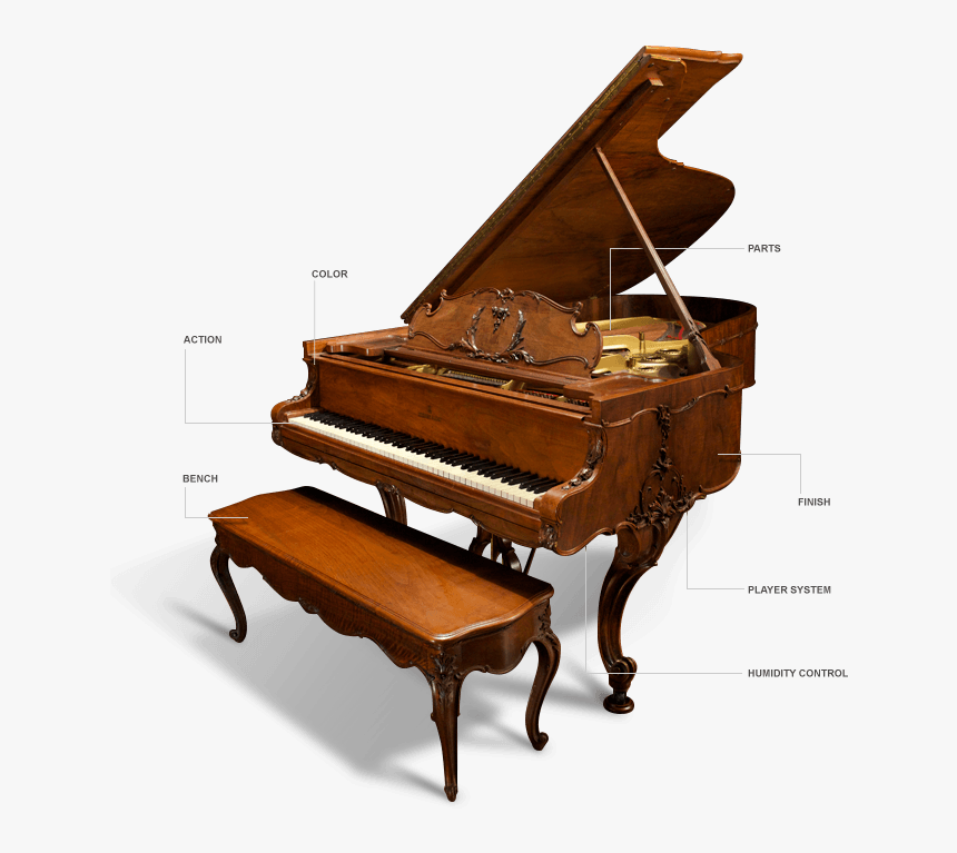 Transparent Grand Piano Clipart - Parts Of A Grand Piano, HD Png Download, Free Download