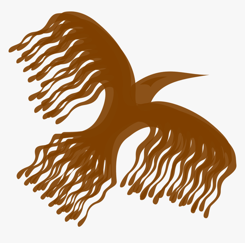 Bird Wings Stylized Free Photo - Phoenix Bird, HD Png Download, Free Download