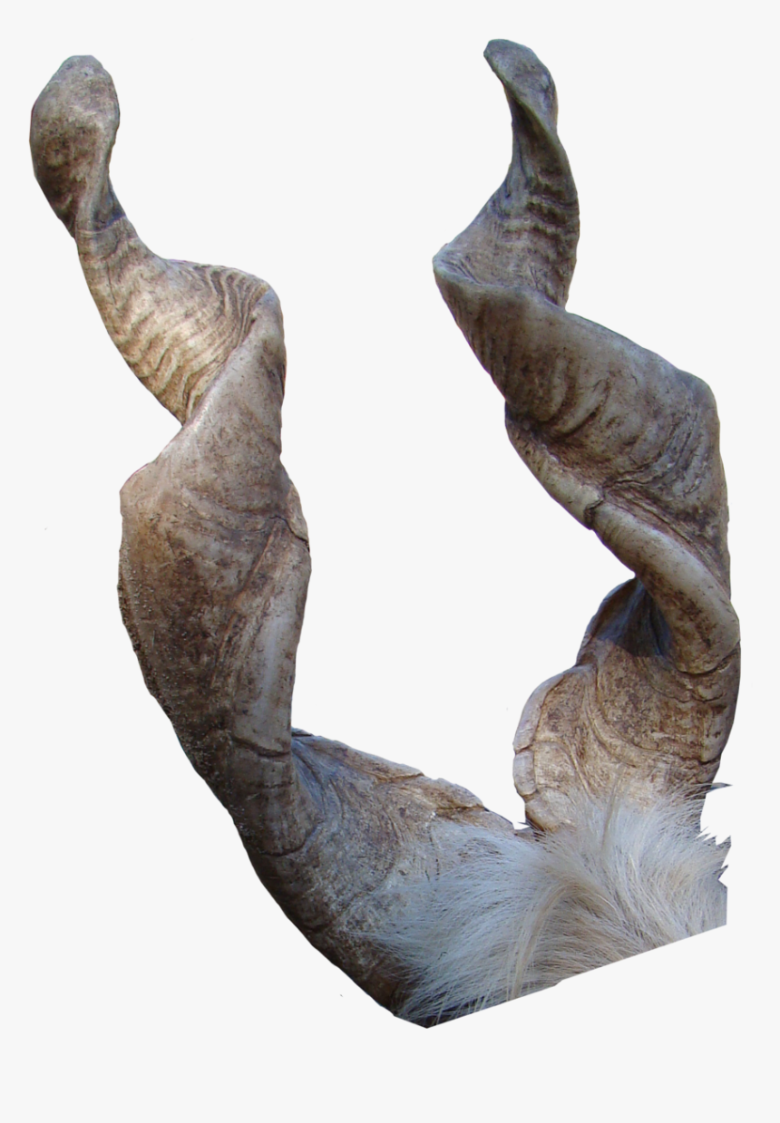 Transparent Metal Horns Png - Goat Horns Transparent, Png Download, Free Download