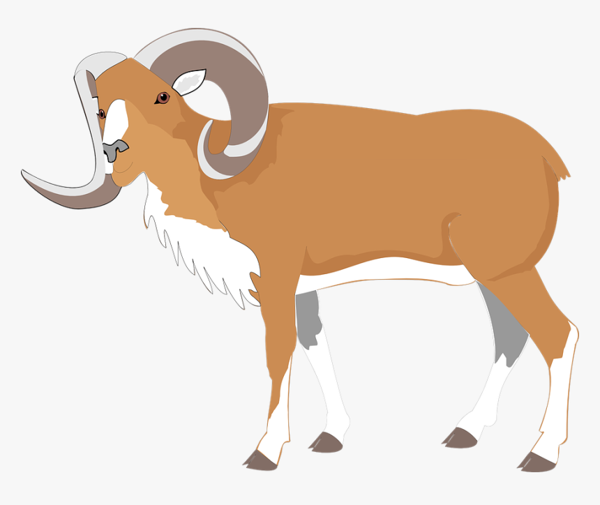 Ram Goat Brown Large Big Animal Horns Gambar  