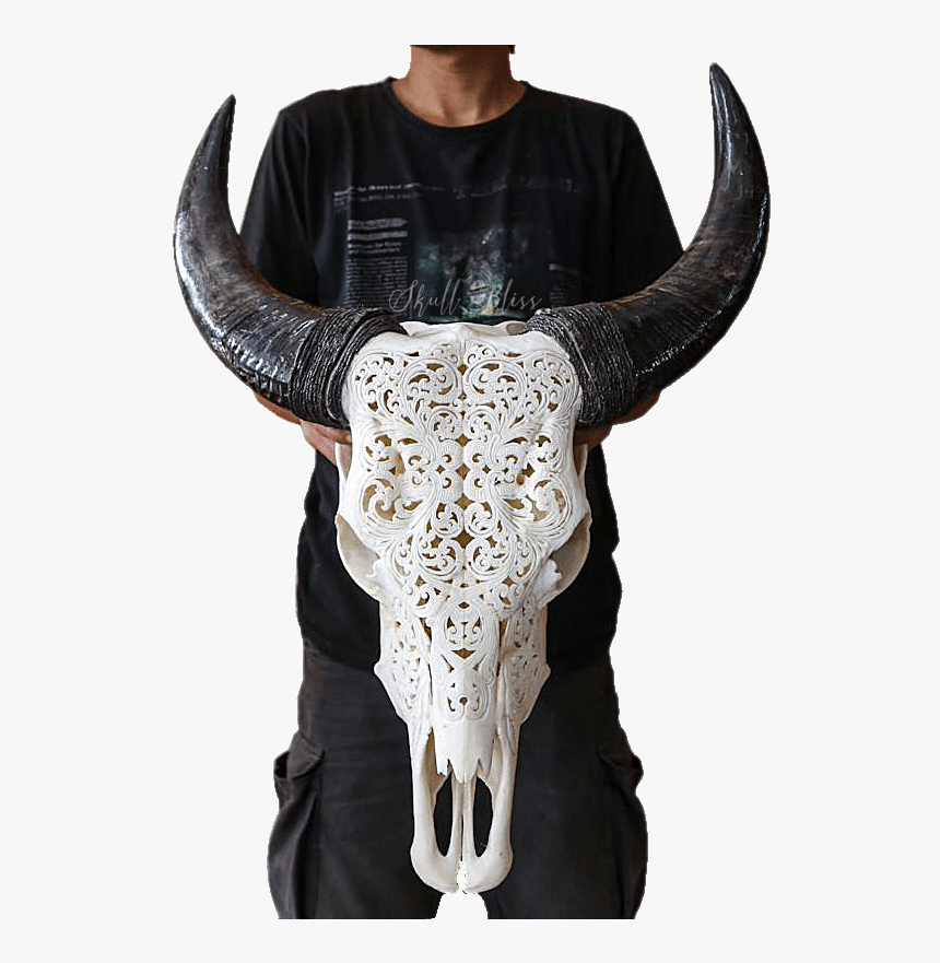 Carved Cow Skull Bali, HD Png Download, Free Download