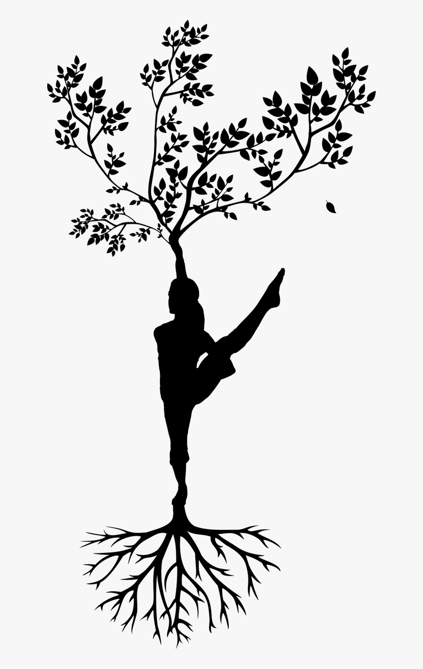 Meditation, Silhouette, Women, Tree, Yoga - Drawings Related To Yoga, HD Png Download, Free Download