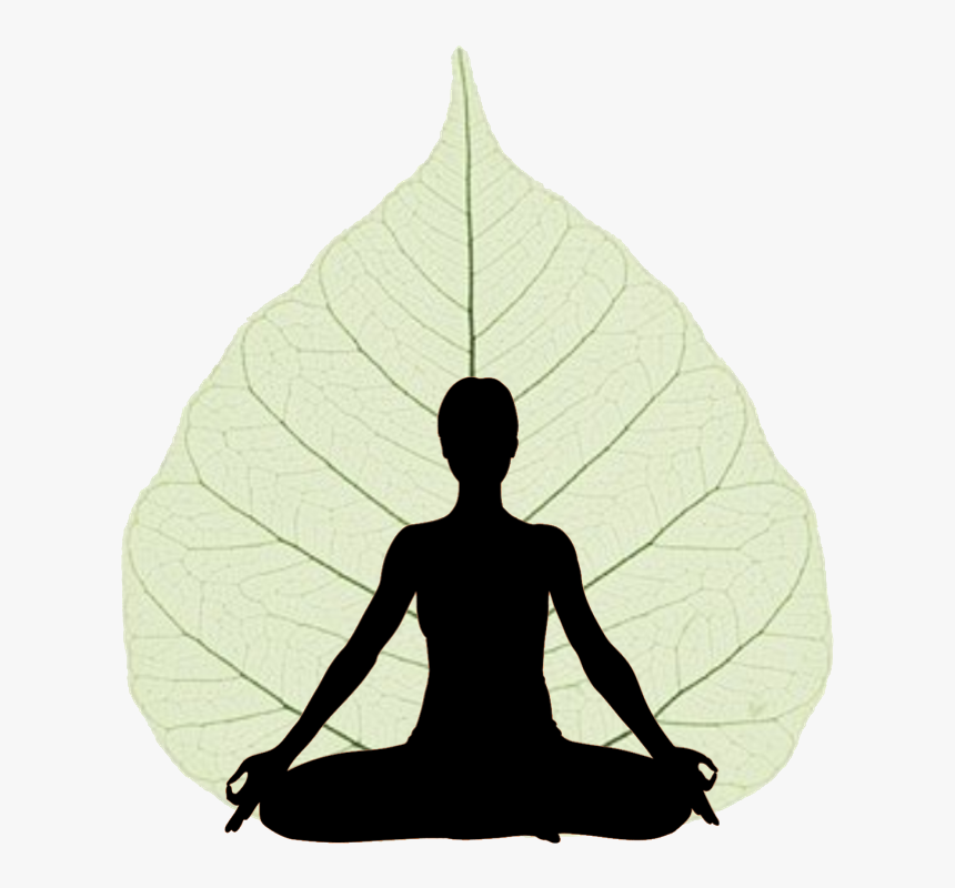 Meditation In 12 Steps, HD Png Download, Free Download