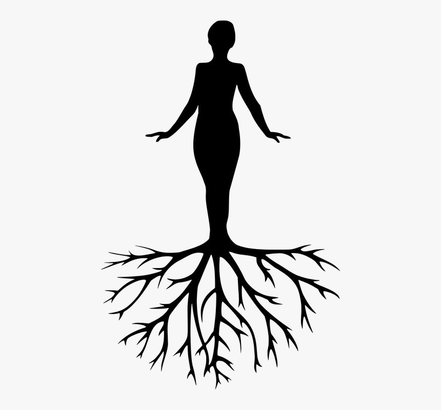 Meditation Silhouette Png - Woman Tree Of Life Silhouette, Transparent Png, Free Download