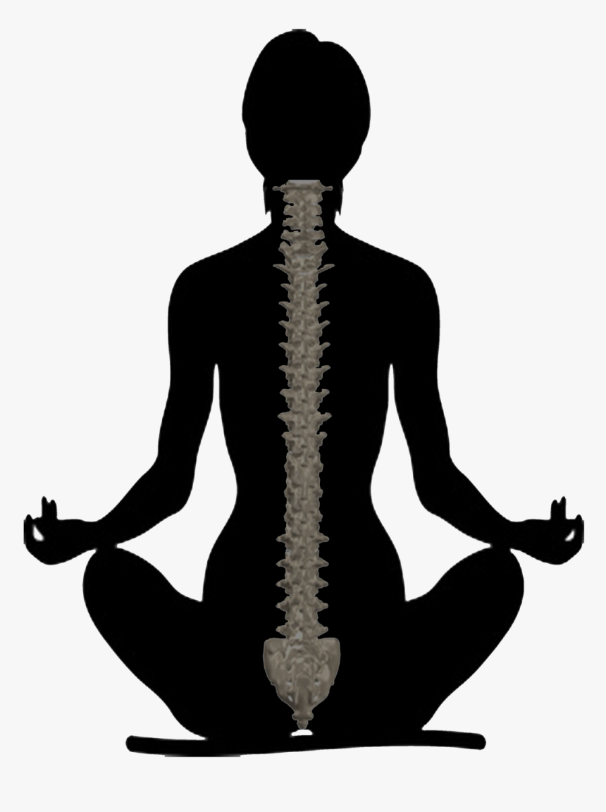 The Doc Yogi - Yoga Cliparts, HD Png Download, Free Download