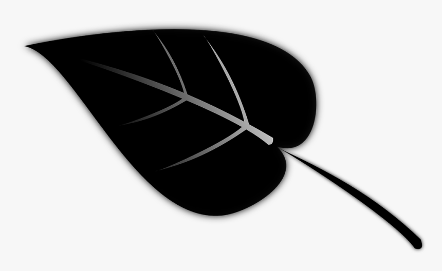 Leaf, Plant, Silhouette, Black, White - Leaf Silhouette Transparent Background, HD Png Download, Free Download