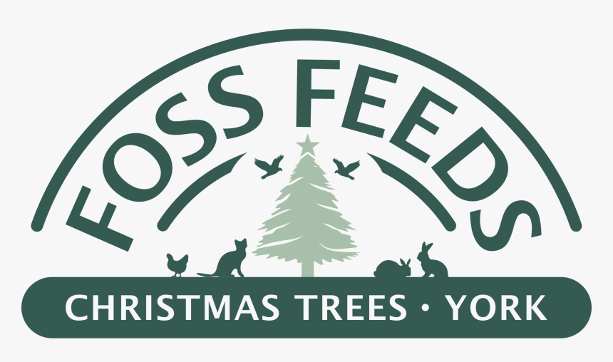 Christmas Trees York - Poster, HD Png Download, Free Download