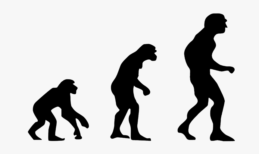 Evolution Of Humans, HD Png Download, Free Download