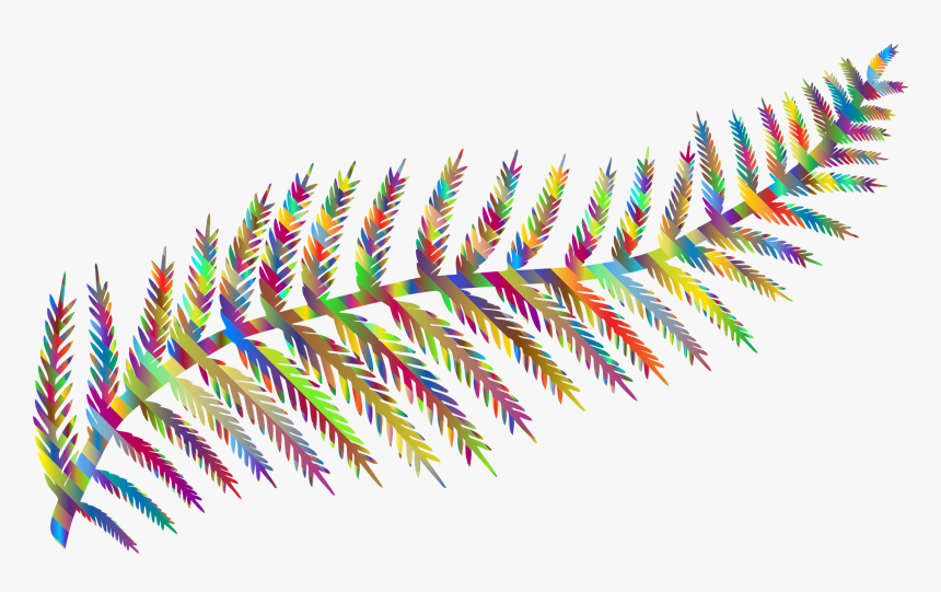 Prismatic Fern Leaf Silhouette By Karen Arnold Clip, HD Png Download, Free Download