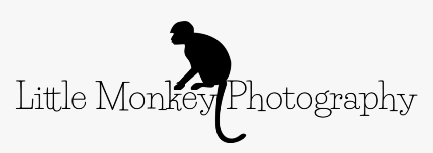 Monkey Silhouette Png, Transparent Png, Free Download