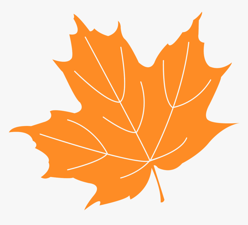 Maple Leaf Free Vector, HD Png Download, Free Download