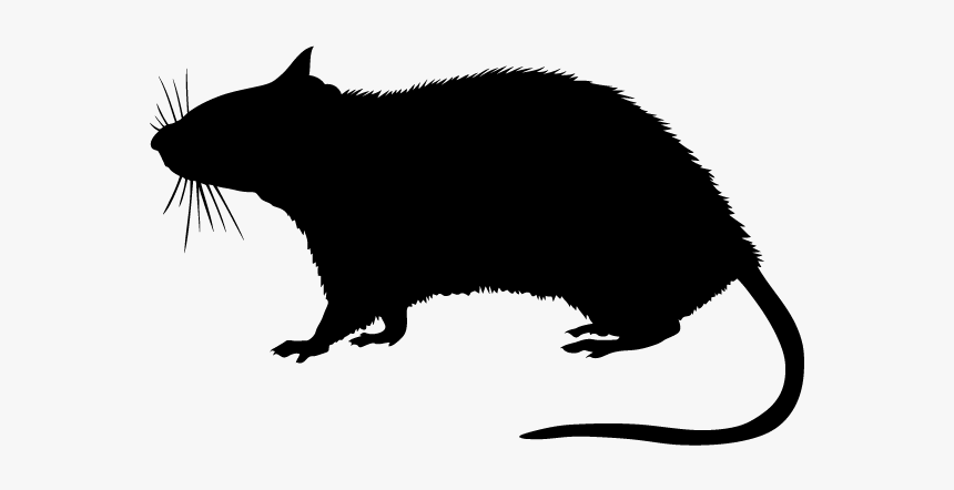 Rodent Stock Photography Silhouette - Silhouette Rat, HD Png Download, Free Download