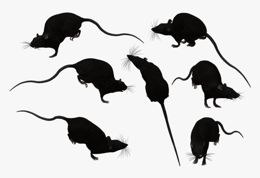 Brown Rat Mouse Black Rat Clip Art - Transparent Background Mouse Silhouette Png, Png Download, Free Download