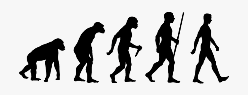 Csub Approved Banner Photo - 5 Stages Of Human Evolution, HD Png Download, Free Download