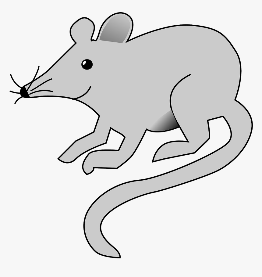 Cartoon Mouse Transparent Background, HD Png Download, Free Download