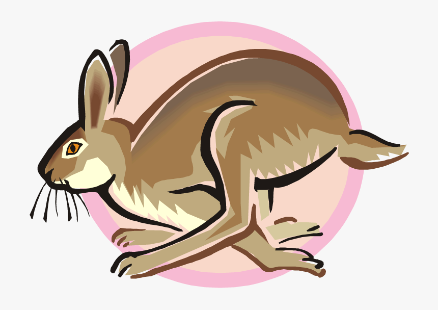 Hase Clipart, HD Png Download, Free Download