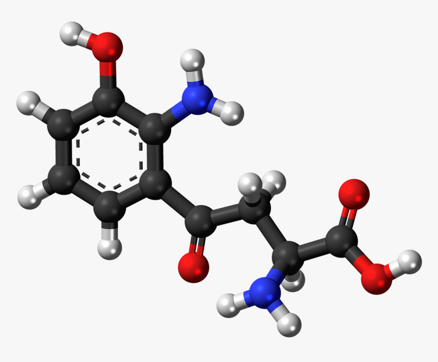 Psilocybin 3d Structure, HD Png Download, Free Download