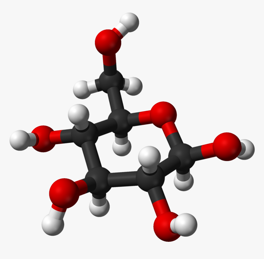 Molecule Clipart Glucose - Biomolecules Class 11 Examfear, HD Png Download, Free Download