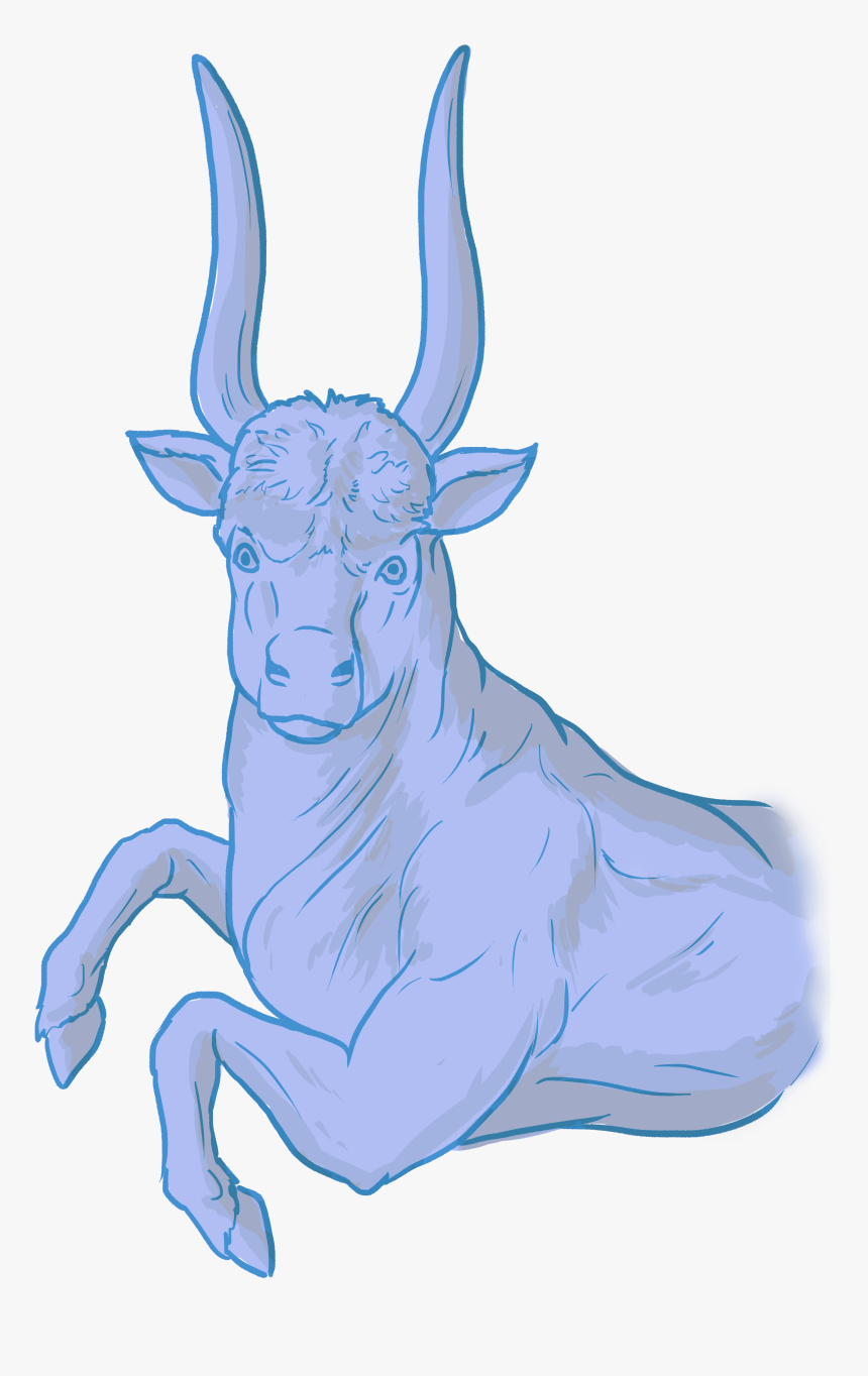 Constellations Drawing Leo - Indian Rhinoceros, HD Png Download, Free Download