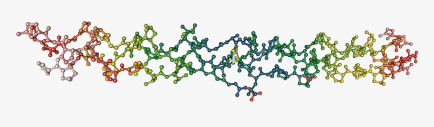 Collagen Human Molecule - Human Collagen Molecule, HD Png Download, Free Download