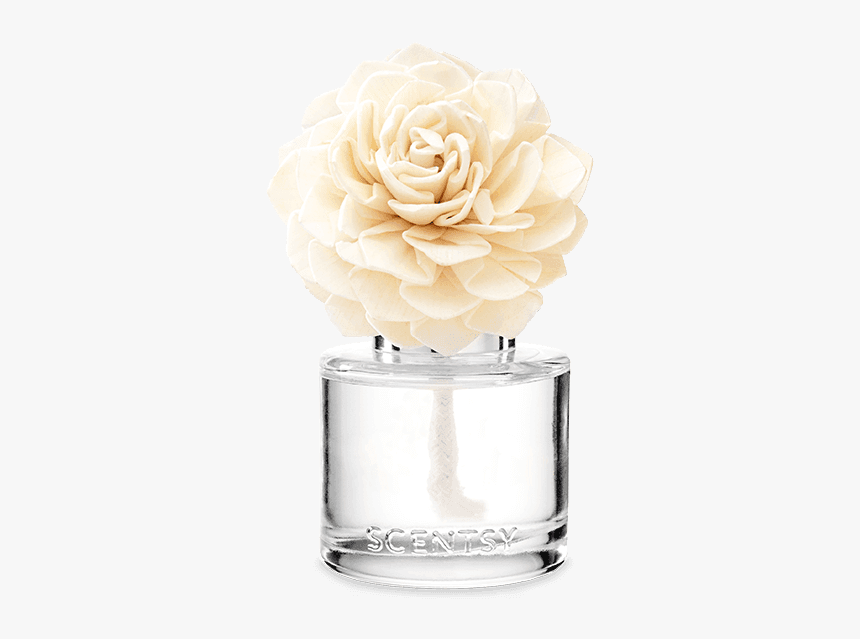 Scentsy Fragrance Flower - Aloe Water And Cucumber Fragrance Flower Scentsy, HD Png Download, Free Download