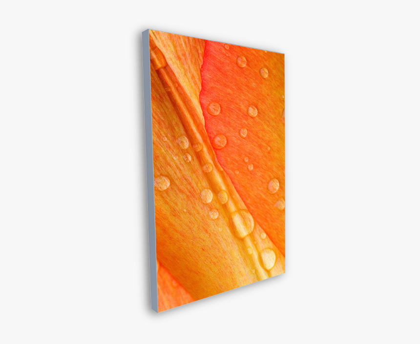 Modern Art, HD Png Download, Free Download