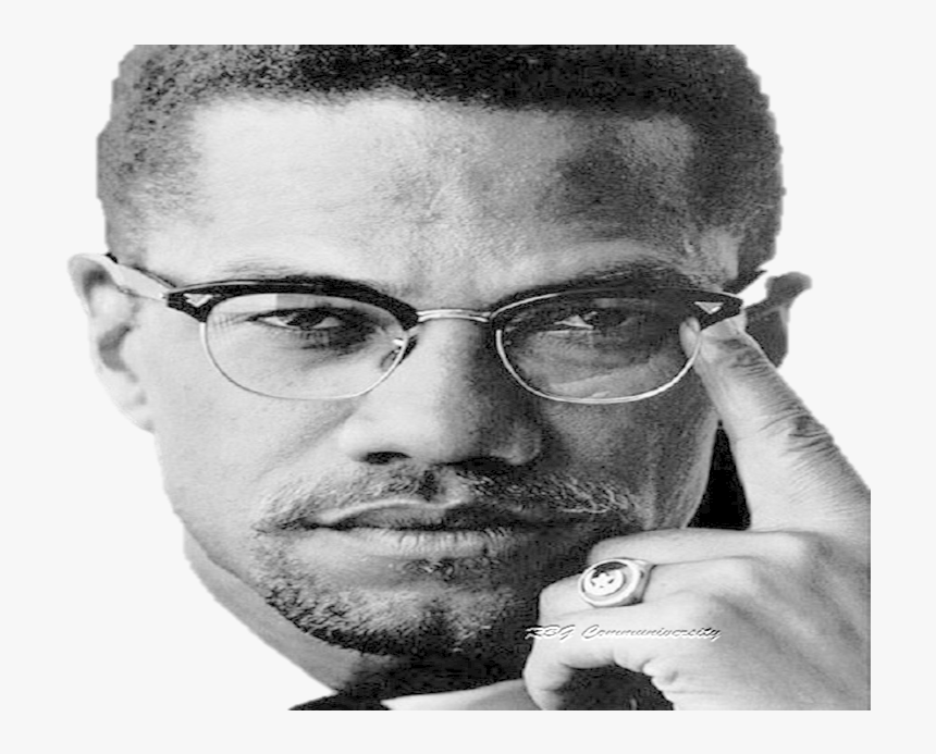You Can"t Hate The Roots Of A Tree, Malcolm X - Malibu Pier, HD Png Download, Free Download