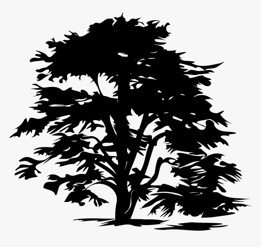 Free Tree Clipart Black And White Png, Transparent Png, Free Download
