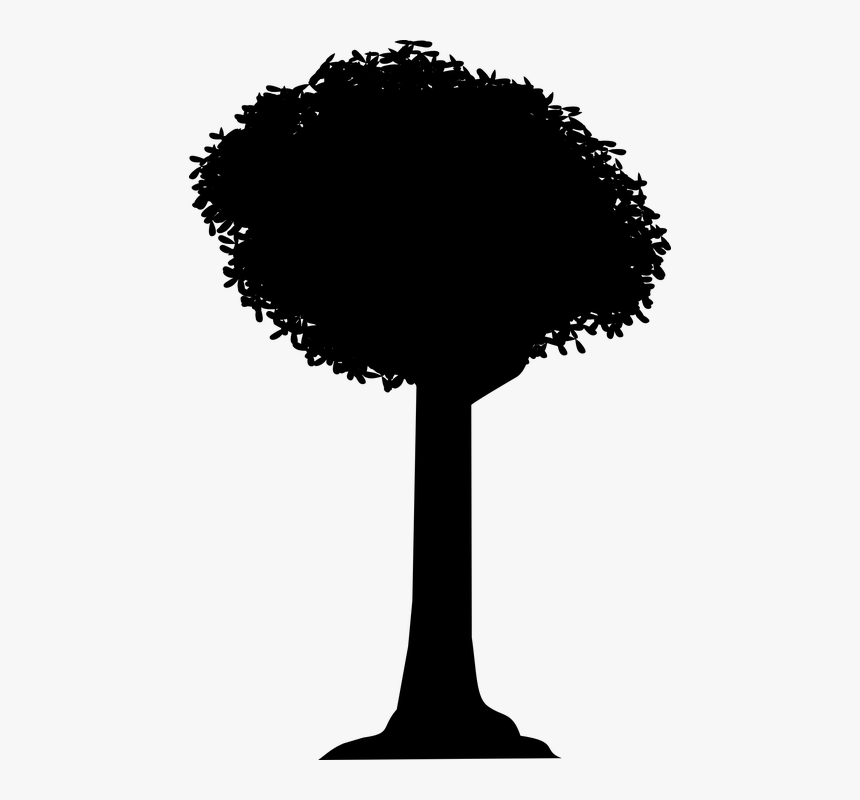 Silhouette, Tree, Shadow, Vector, Black, Dark, Nature - Black Tree Shadow, HD Png Download, Free Download