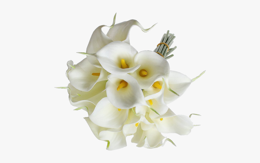 Eforcase Refreshing Calla Lily Bridal Wedding Bouquet - Calla Lillies On Transparent, HD Png Download, Free Download