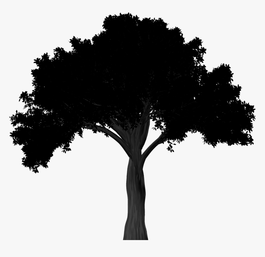 Silhouette Elm Tree Free Photo - Simple Oak Tree Silhouette, HD Png Download, Free Download