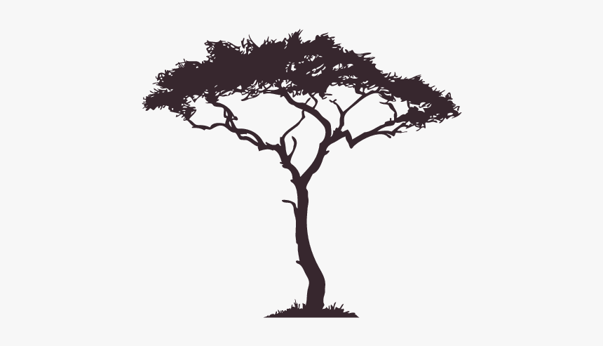 #tree #silhouette #shadow #nightime #surrealism #overlay - African Tree Silhouette Png, Transparent Png, Free Download