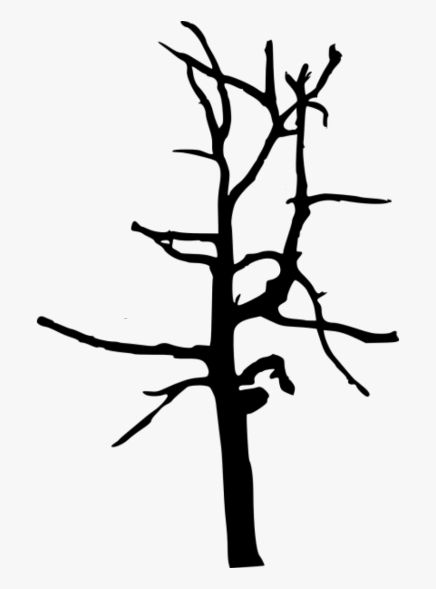 #trees #tree #foliage #shadow #black #nature #plants - Simple Tree Branch Silhouette, HD Png Download, Free Download