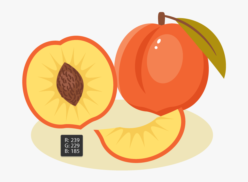 Creating The Shadow - Adobe Illustrator Projects, HD Png Download, Free Download