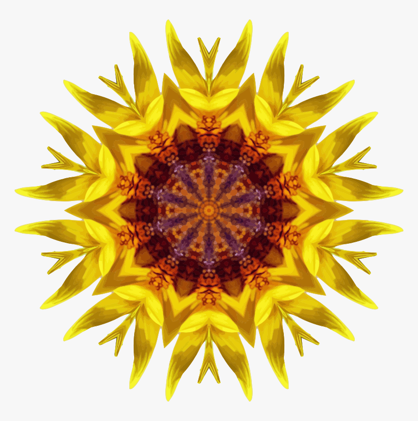 Sunflower Kaleidoscope - Sunflower, HD Png Download, Free Download