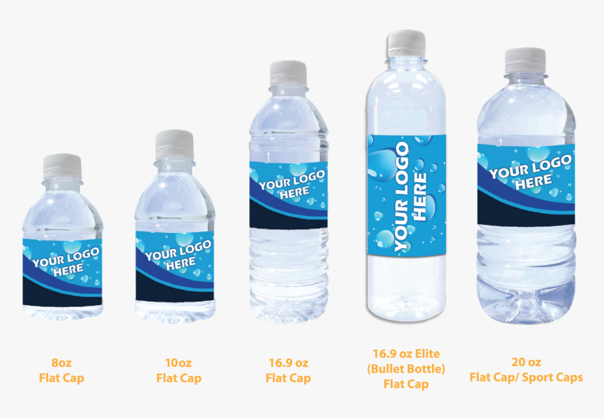 8 Ounce Bottle Size Best Pictures And Decription Forwardset Com