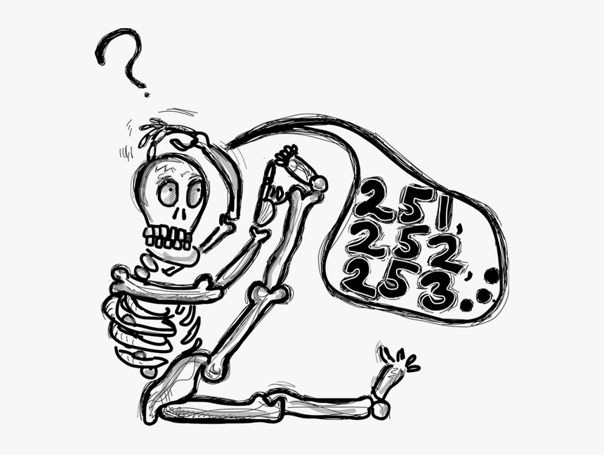 Adult Bones Number, HD Png Download, Free Download