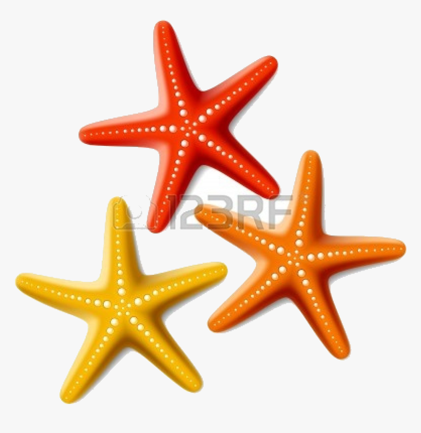 Starfish Cute Clipart Free Images Transparent Png - Starfish Clipart, Png Download, Free Download