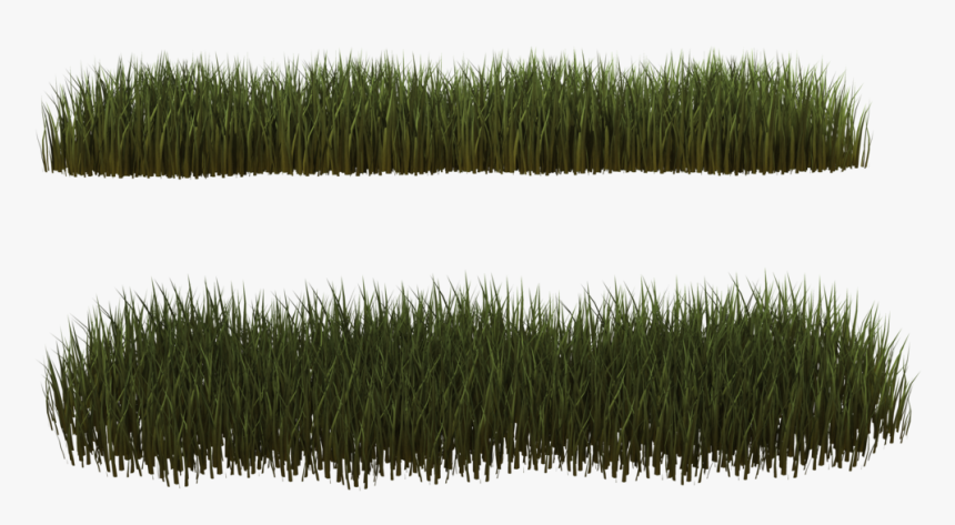 Dry Grass Clipart Desert Plant - Transparent Desert Plants Png, Png Download, Free Download