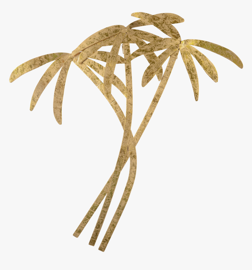 Desert Plant Png, Transparent Png, Free Download