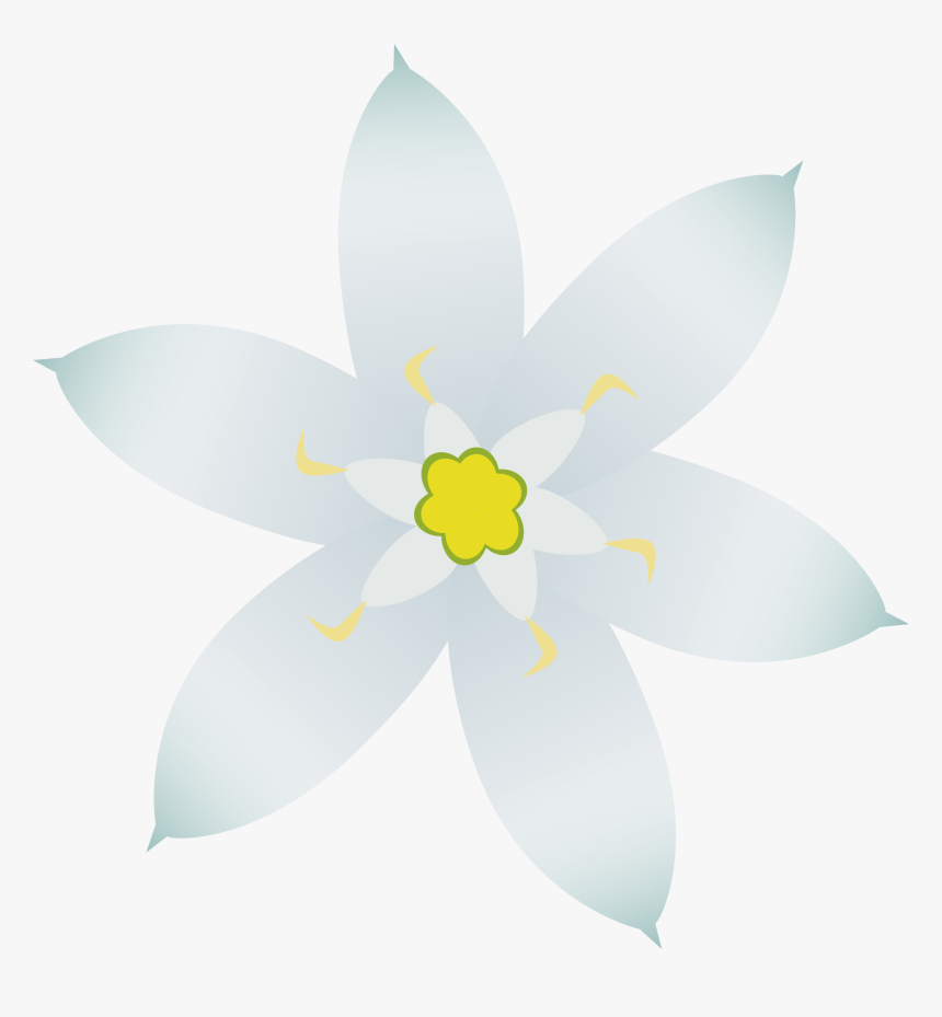 Clipart Stars Flower - White Flower Clipart In Png, Transparent Png, Free Download