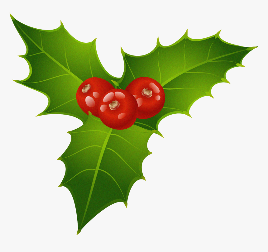 Holly Clipart Mistletoe Free - Christmas Mistletoe Clipart, HD Png Download, Free Download