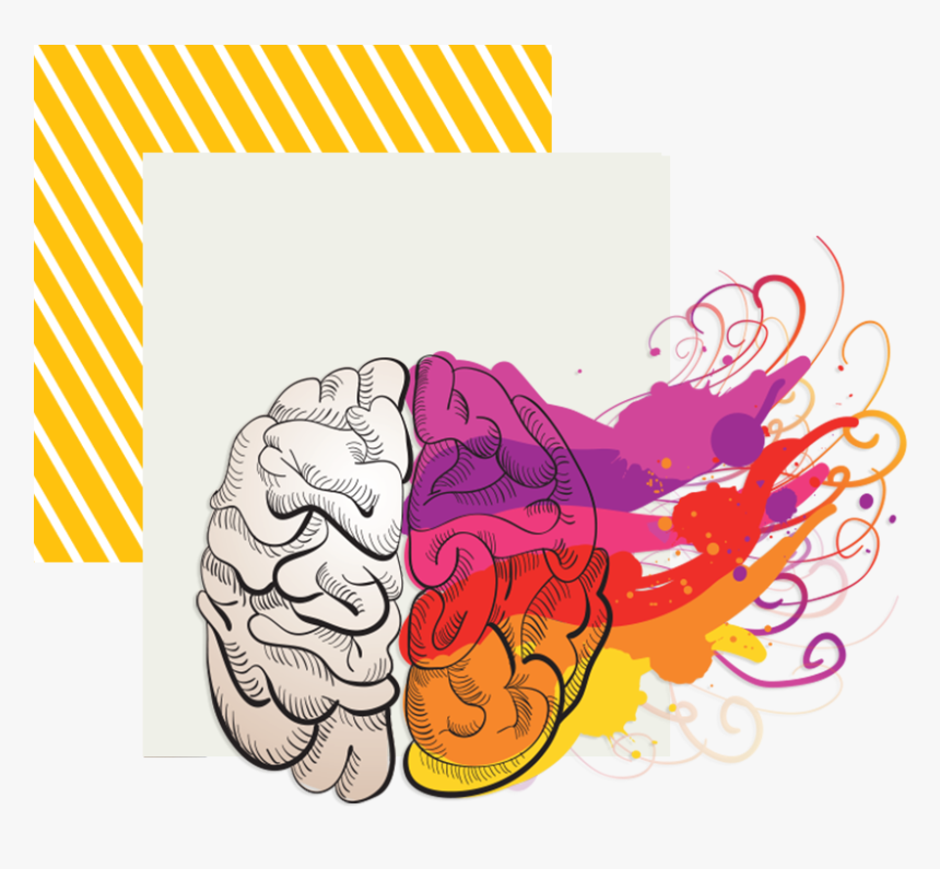 Cerebro Y La Creatividad, HD Png Download, Free Download