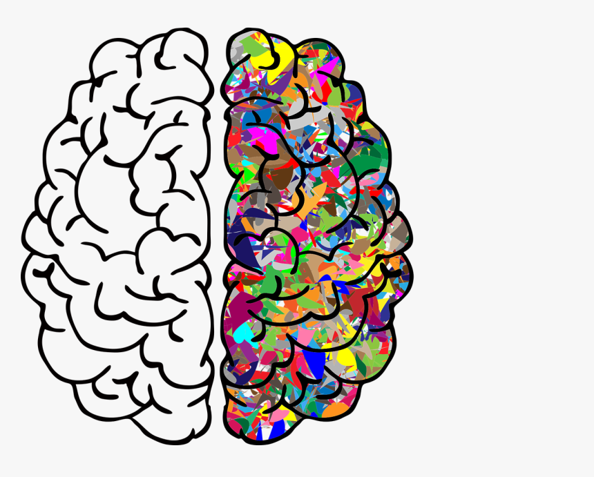 Integrating The Brain - Left Brain Right Brain Free, HD Png Download, Free Download