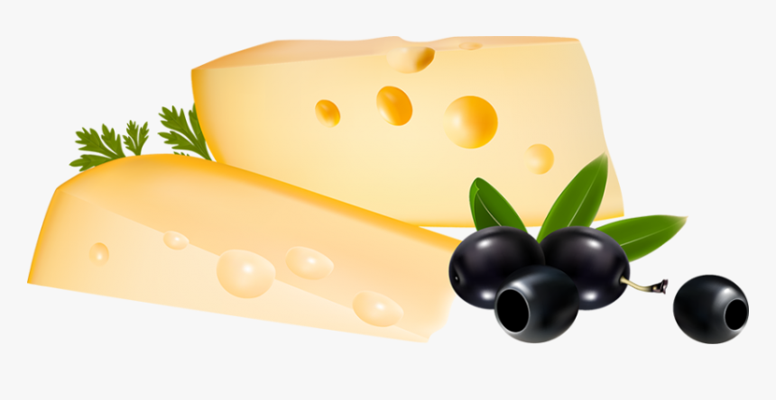 Olive Vector Free, HD Png Download, Free Download