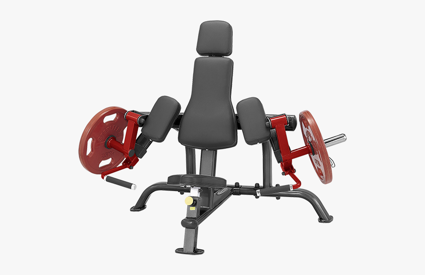 Plate Loaded Bicep Curl, HD Png Download, Free Download